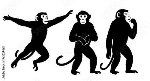 Three Silhouettes of Monkeys in Different Poses.