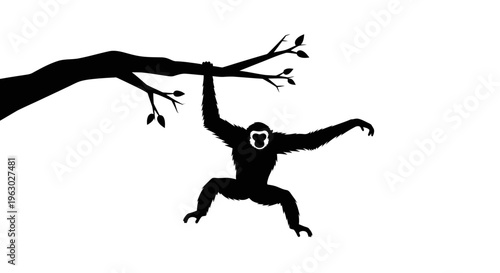 Silhouette of a Gibbon Swinging from a Tree Branch.