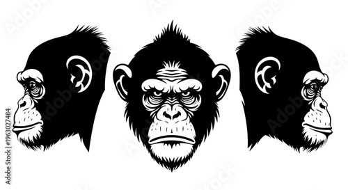 Three Views of a Chimpanzee Head Black and White Illustration.
