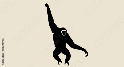 Silhouette of a Gibbon Swinging with Arms Raised.