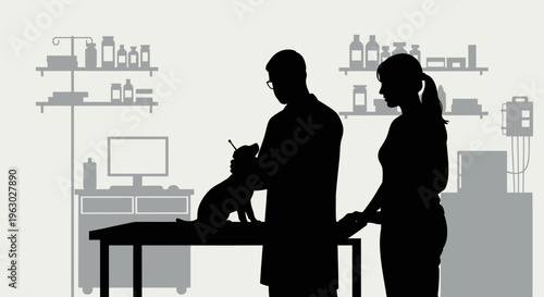 Veterinarian examining a cat with owner present.