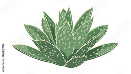 Detailed illustration of a green agave or aloe vera plant with thick pointed leaves featuring light spots on a plain white background.