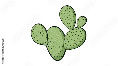 Detailed illustration of a green prickly pear cactus with multiple oval-shaped pads and fine spines isolated on a plain white background.