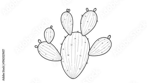 Prickly pear cactus with multiple pads and small fruits shown in a detailed black and white botanical line art illustration.