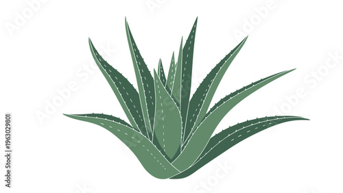 Vibrant green aloe vera succulent plant with sharp pointed leaves shown in a detailed flat vector illustration against white.