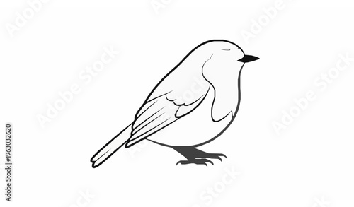 Robin Bird Side Profile Line Art Minimal Outline Vector Isolated on White Background
