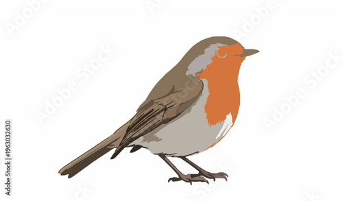 Realistic Robin Bird Side View Detailed Vector Illustration Isolated on White