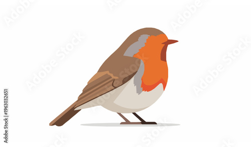 Robin Bird Side Profile Flat Vector Illustration Isolated on White Background