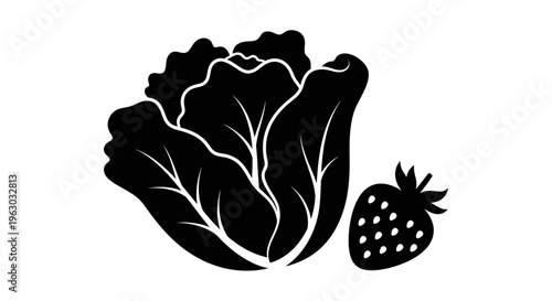 Black and white illustration of lettuce and strawberry.