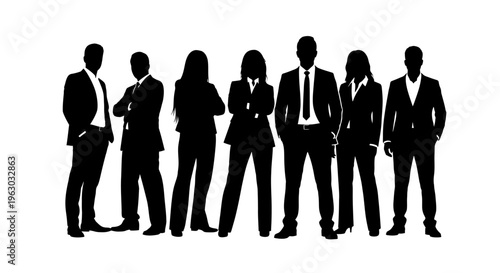 Silhouettes of a diverse business team standing together confidently.