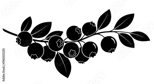 Silhouette of a Blueberry Branch with Berries and Leaves.