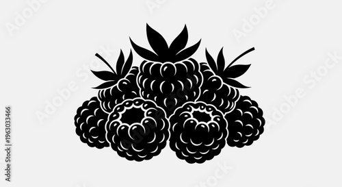 Stylized Black and White Illustration of Fresh Raspberries.