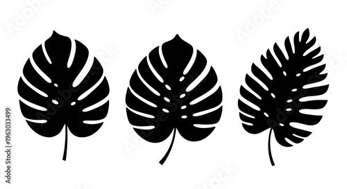 Monstera Leaves Silhouettes Tropical Plant Elements.