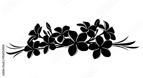 Elegant Black Silhouette of Plumeria Flowers Branch.