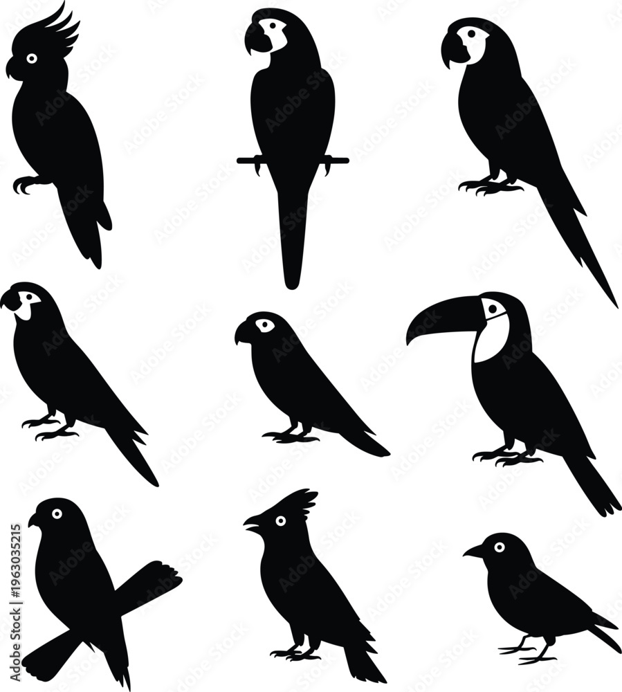Naklejka premium Bird silhouette vector illustration, exotic tropical species icons, parrot and toucan graphics, cockatoo designs, wildlife nature art, avian animal symbols for stock content