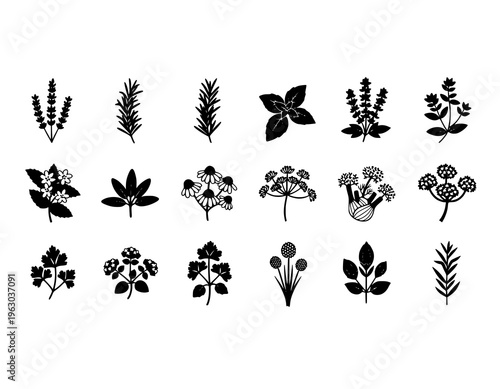 Herb Inflorescence Icon Pack Botanical Flower Silhouette Grid Vector Set