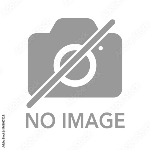 カメラアイコン NO IMAGE ダミー用素材 文字入り