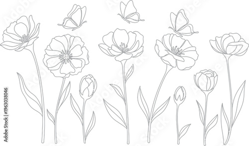 Delicate line art illustration featuring various blooming flowers and graceful butterflies on a clean white background