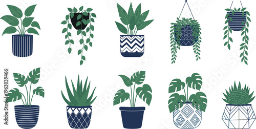 Large collection of green indoor potted plants including monstera and succulents in decorative navy blue pots isolated on white background vector