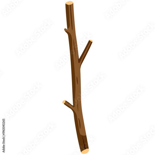 Vertical thin brown branch stick, natural plant part, forest element, organic, wood.
