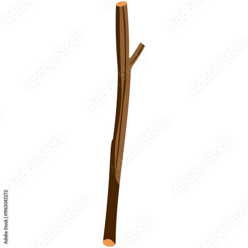 Vertical thin brown branch stick, natural plant part, forest element, organic, wood.
