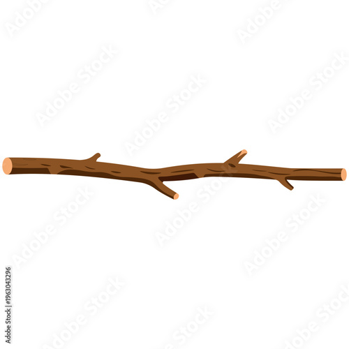 Thin dry brown twig branch, natural plant part, forest element, organic, garden.