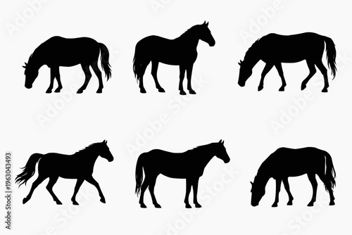Collection of horse silhouettes in simple black vector illustration style