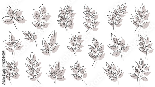 Collection of many hand-drawn leaf branches and botanical sprigs with soft grey shadows on a clean white background for a light airy design.