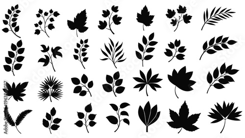 Silhouettes of various tree leaves and branches in solid black providing a diverse collection for nature themed graphic projects.