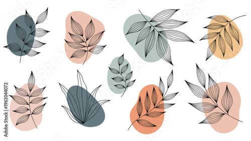 Artistic leaf drawings featuring intricate line work placed over abstract colored shapes in earthy blue terracotta and yellow tones.