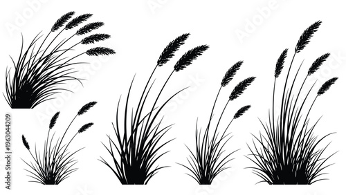 Black silhouette set of tall pampas grass plumes swaying in the breeze on a plain white background for minimalist design.