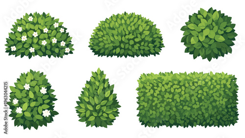 Collection of stylized green garden shrubs and manicured hedges in various shapes and sizes for landscape design projects.