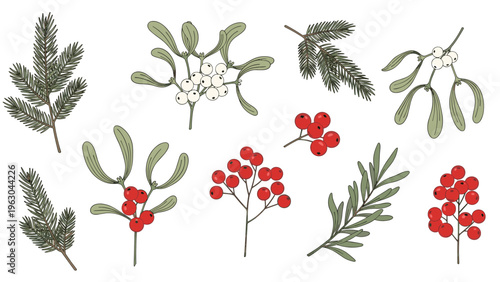 Hand drawn winter botanical sketches featuring mistletoe sprigs, red berries, and evergreen pine branches for holiday decor.