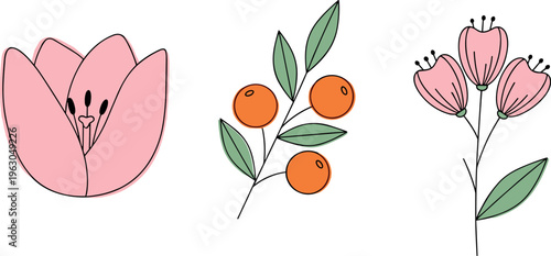 Minimalist Floral Set Featuring Hand-drawn Illustrations of Pink Flowers, Orange Berries, and Simple Green Leaves for Elegant Design