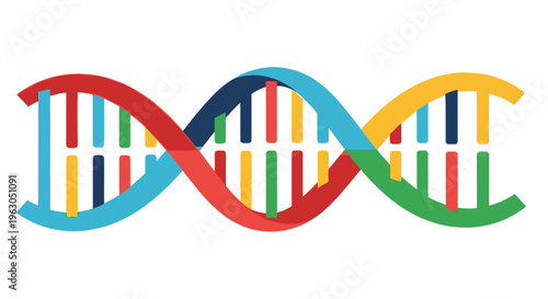 Colorful illustration of a double helix dna structure with vibrant bands