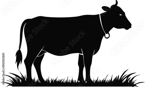 Black silhouette of a cow standing in grassy field