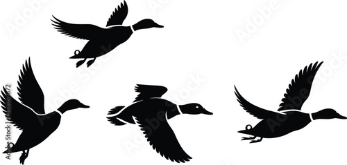 Flying duck silhouettes in motion, wildlife vector illustration, bird clipart design, hunting iconography, nature artwork, animal ornament template, minimalist art