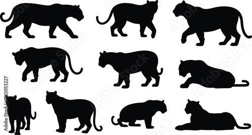 Nine black silhouettes of panthers, feline poses, walking, standing, crouching, lying down, animal artwork, wildlife illustration, predator design, nature concept