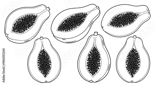 Papaya Halves and Slices: Tropical Fruit Illustration, Healthy Food, Exotic Ingredient