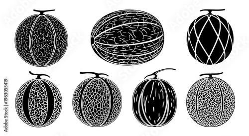 Set of Black and White Melon Illustrations: Cantaloupe, Honeydew, and Watermelon Varieties