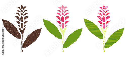 A red ginger flower icon. Three variations with a tropical feel.