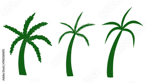 Three green vector palm trees illustration isolated on white background, tropical vacation themed graphic design resource. Transparent PNG included.