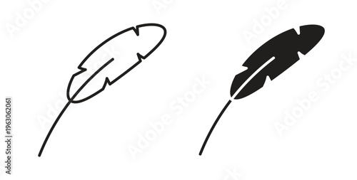 Feather icon in black color. Vector icons on white background