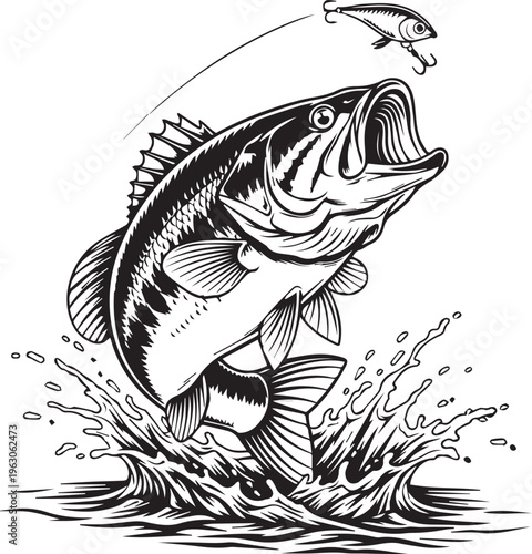 Large mouth bass jumping out of the water to bite a colorful plastic fishing lure isolated on transparent background, Vector, illustration