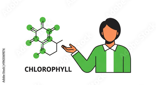 Person explaining chlorophyll structure representing biology concept.
