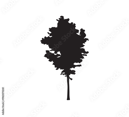 A detailed silhouette of a deciduous tree with a dense canopy against a plain white background, representing nature and the environment