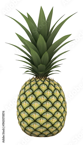 Whole Ripe Pineapple with Green Leafy Top Isolated on White Background