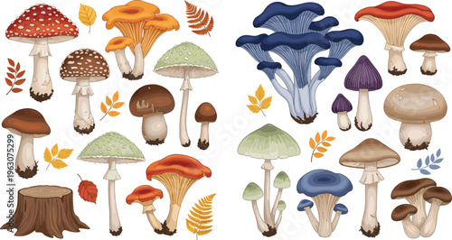 Wild mushrooms vector set with forest fungi, colorful toadstools, autumn leaves and nature elements in detailed flat illustration style