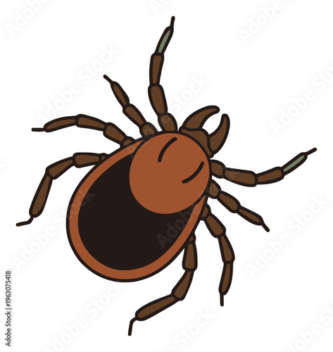 Lyme disease tick illustration top view isolated on .... Generative AI