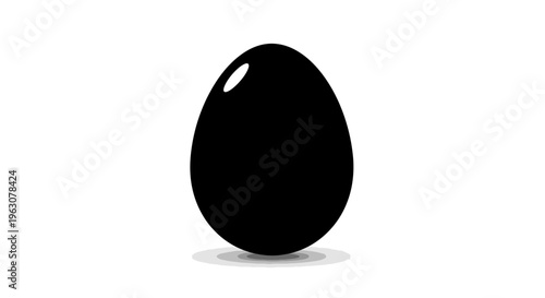A striking black egg stands upright, casting a subtle shadow on a white background.